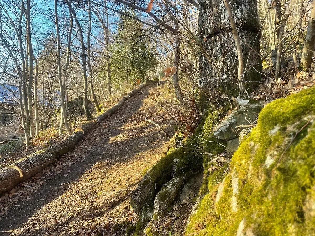 Le Refuge D'Yzeron, Gite Autonome En Pleine Foret Pour 8 Personnes 0*, Yzeron Γαλλία