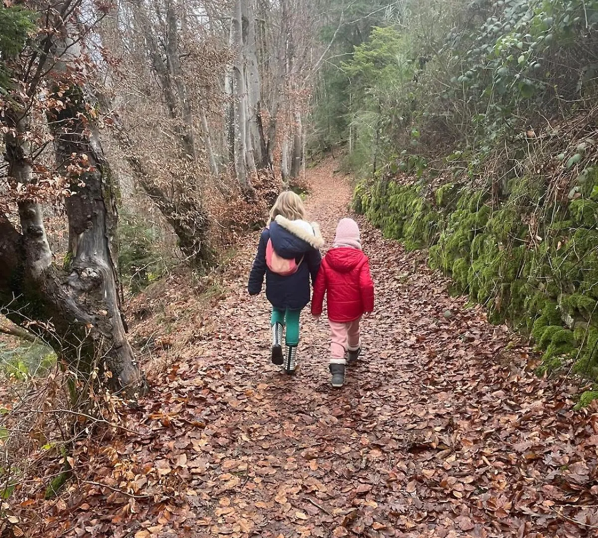 Le Refuge D'Yzeron, Gite Autonome En Pleine Foret Pour 8 Personnes Σαλέ