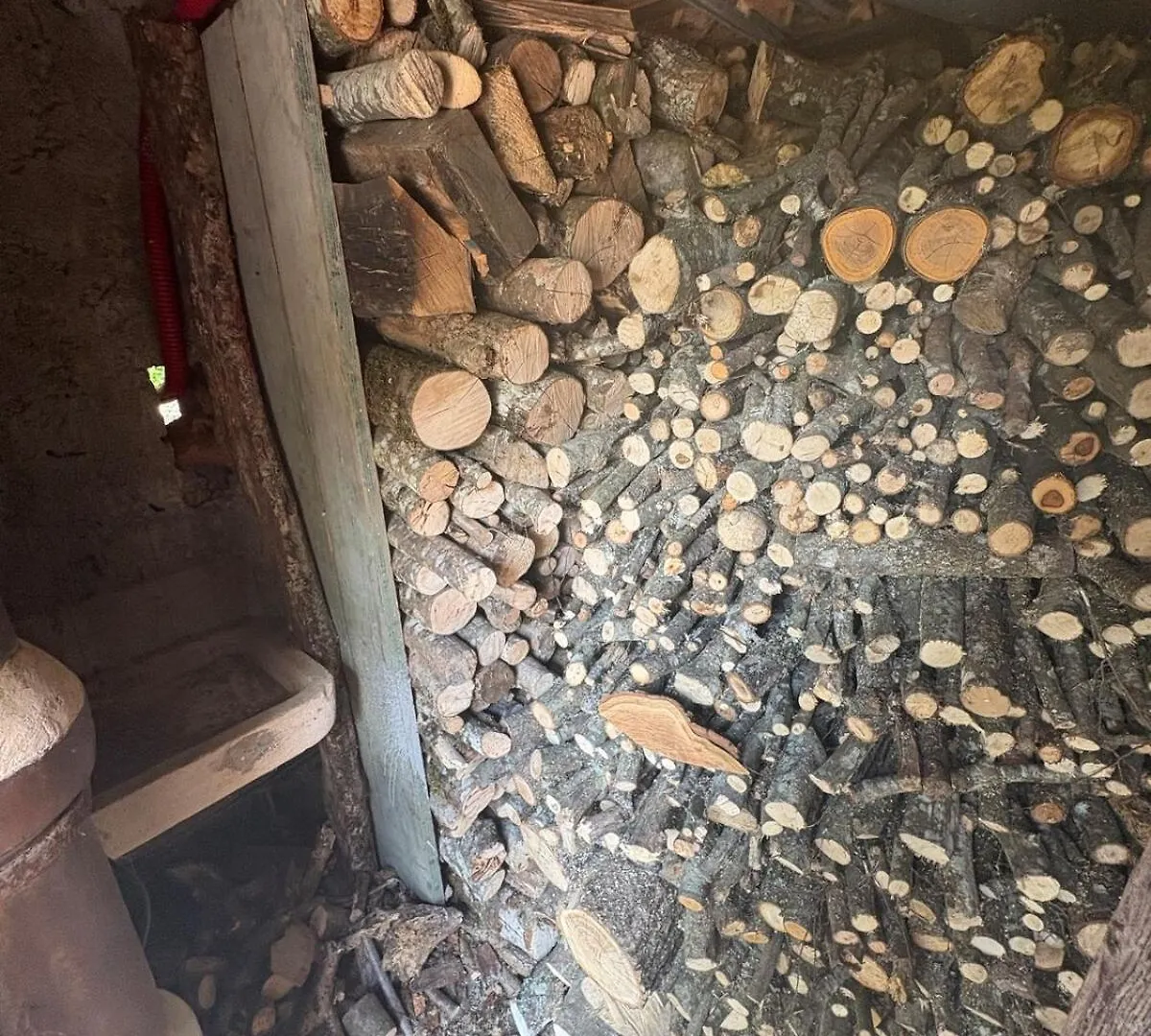 Le Refuge D'Yzeron, Gite Autonome En Pleine Foret Pour 8 Personnes Γαλλία